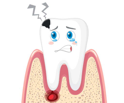 Understanding Tooth Eruption | Happy Tooth Dental Care and Diagnostic Centre, Ranchi