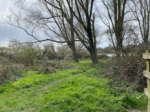 Framlingham Mere - Visual