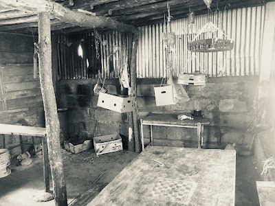Photos of Refugio Arenales