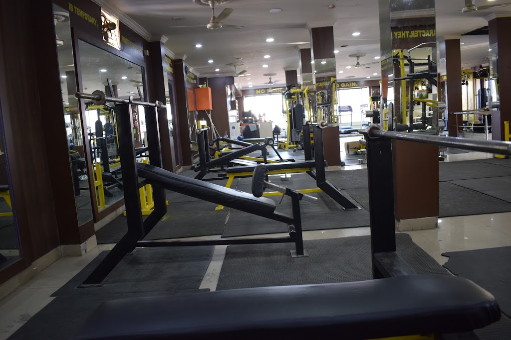 Muscle Gear Gym Y Unleash The Beast Y