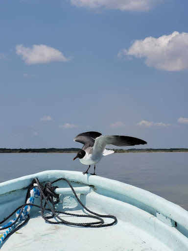 Deutsche Ausflüge Mexiko