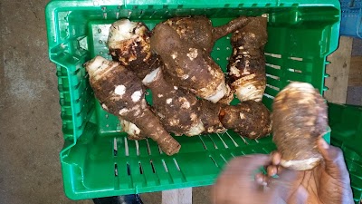 Photos of MNIB