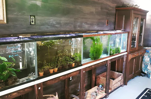 Furia Aquatics - Visual