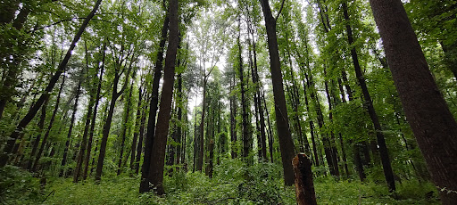 Corcoran Environmental Study Area - Thumbnail