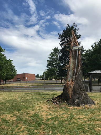 Memory/Mill Plain Park - Visual