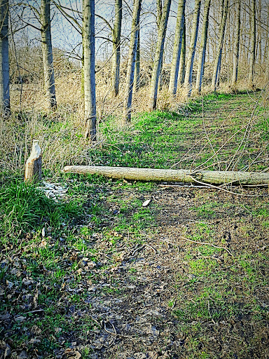 Wienerberger BV - Thumbnail