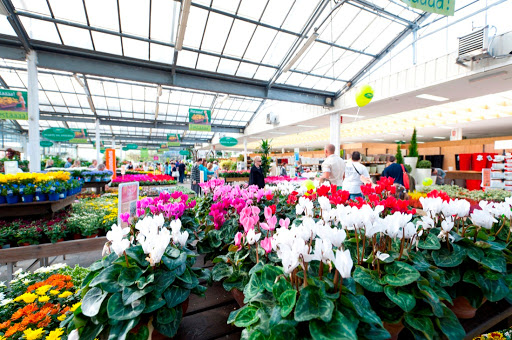 Viridea Garden Center Montebello della Battaglia (PV) - Thumbnail