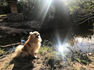 Photo n°86 de Restaurant Chez Padoue à Sotta (Animateur de soirées et d'événements)