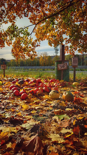 Bildstock heiliger Urban - Thumbnail