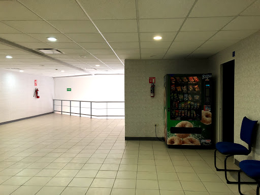 Interlingua Aguascalientes - Visual