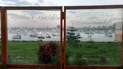 Photos of Alexandria Aquarium