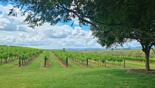 Pokolbin Cider House Gallery - Australia