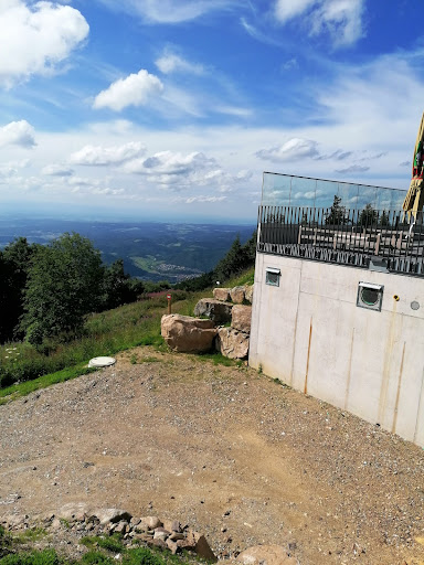 4Pfotenland GmbH - Thumbnail
