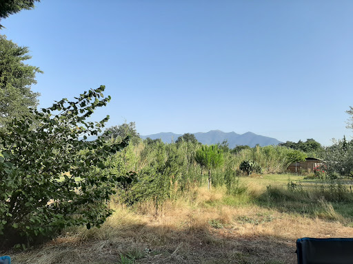 Camping Coccinelle - Thumbnail