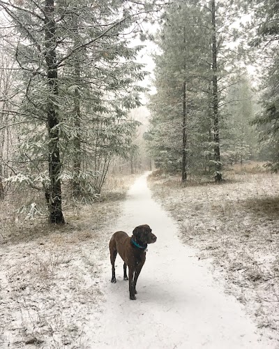 Mickinnick Trail Head 13