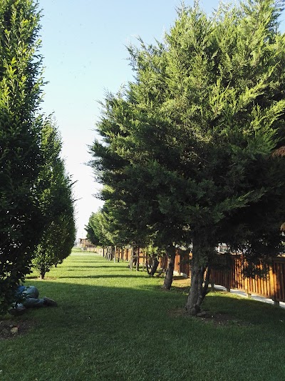 Photos of Cirpici Spor Tesisleri