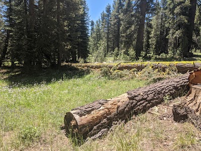 Silvertip Campground