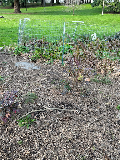 Nature Patch - Visual