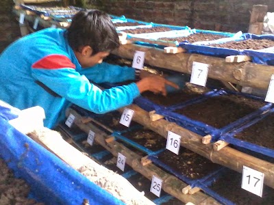 Photos of Jagjit's Earthworms Farm