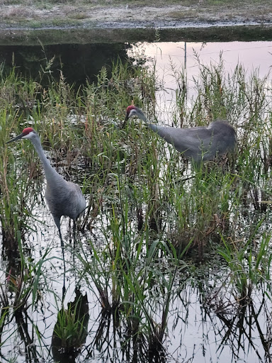 East Lake Meadows - Thumbnail