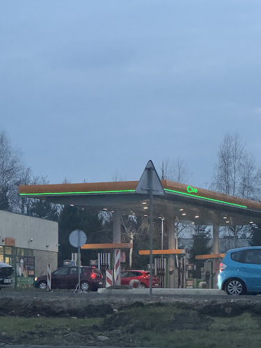 Comentarii opinii despre Crab