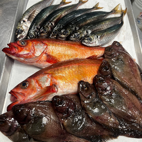 Barberio Osteria by null