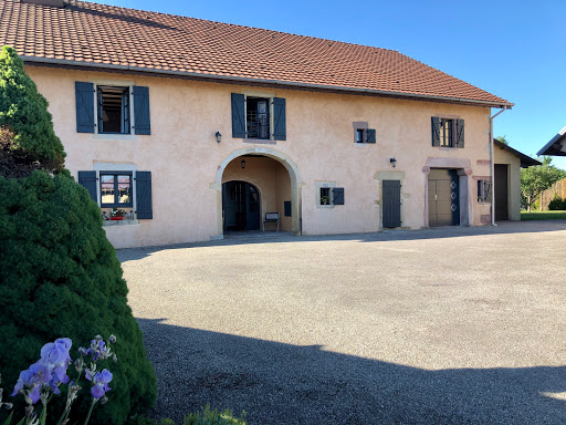 Photo de SapinMyrtille