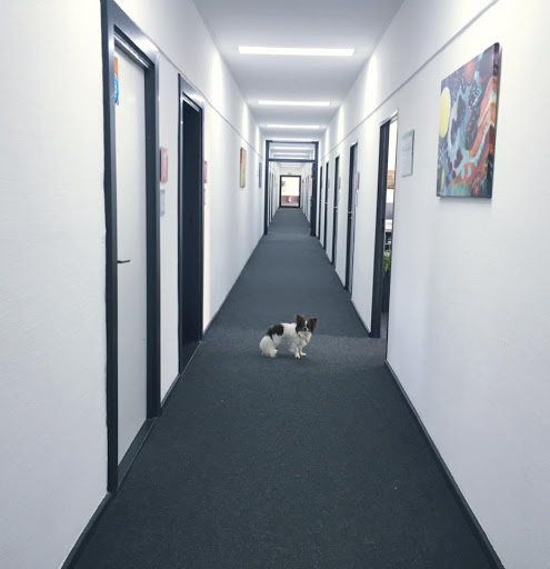 ANCANA Sprachschule - Thumbnail