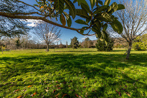 Photo n°4 de Agence de l'Abbaye Immo 17 Essentiel à Saintes (Agence immobilière)