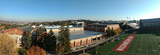 Gibb Pool - Visual