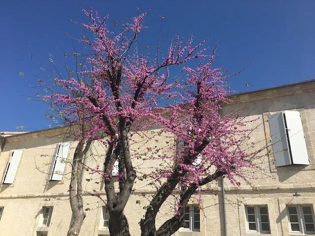 Place around image
