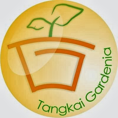 Photos of Tangkai Gardenia