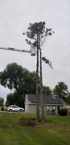 Off The Top Tree Service LLC