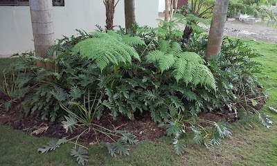 Photos of Vivero Vegano