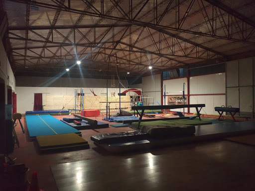 ASD ARS GYMNICA