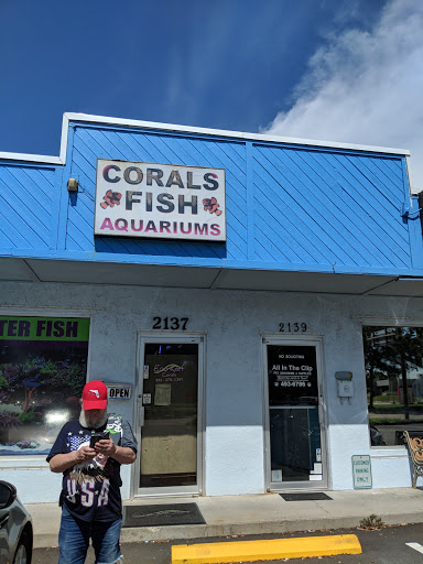 Eco Reef Corals