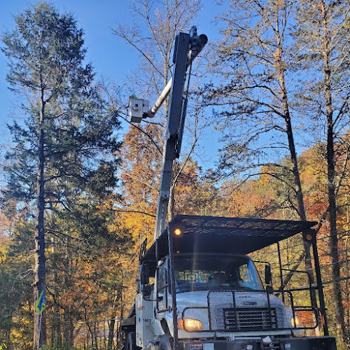 Notch'em Tree Service LLC