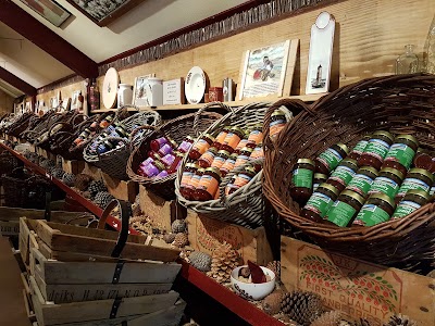 Photos of Cranberry Terschelling BV
