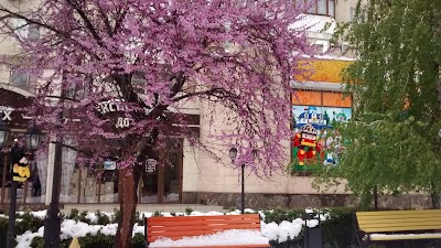 Photos of Textile House