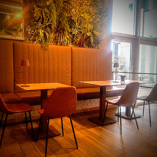 Bar Hedera