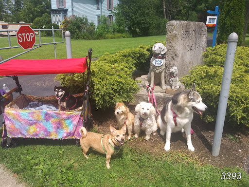 Jefferson Dog Park - Thumbnail