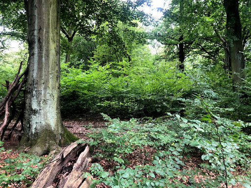 Revierförsterei Wuhlheide Gallery - Germany