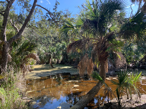 Historical Jungle Trail Parking Lot Gallery - United States
