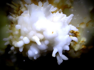 Photo n°8 de Spéléo 65 à Argelès-Gazost (Centre de sports d'aventure)