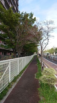 帝京大学医学部附属病院