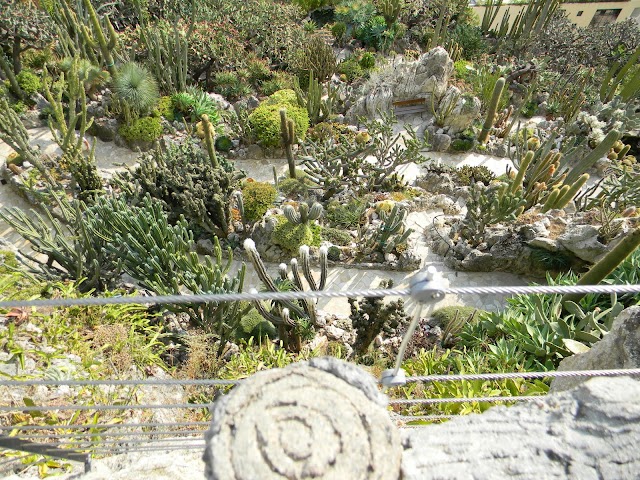 Jardin Exotique de Monaco