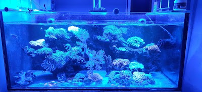 Aquarium Laut Batam