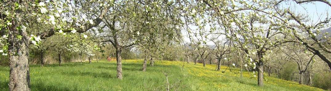 Landesverband für Obstbau Garten- und Landschaft Baden-Württemberg e.V.(LOGL) Malersbuckel 11, 71263 Weil der Stadt