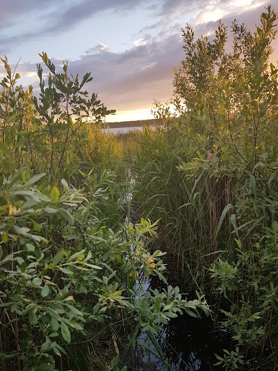 Photos of Glėbas