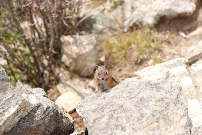 Pecos Wilderness